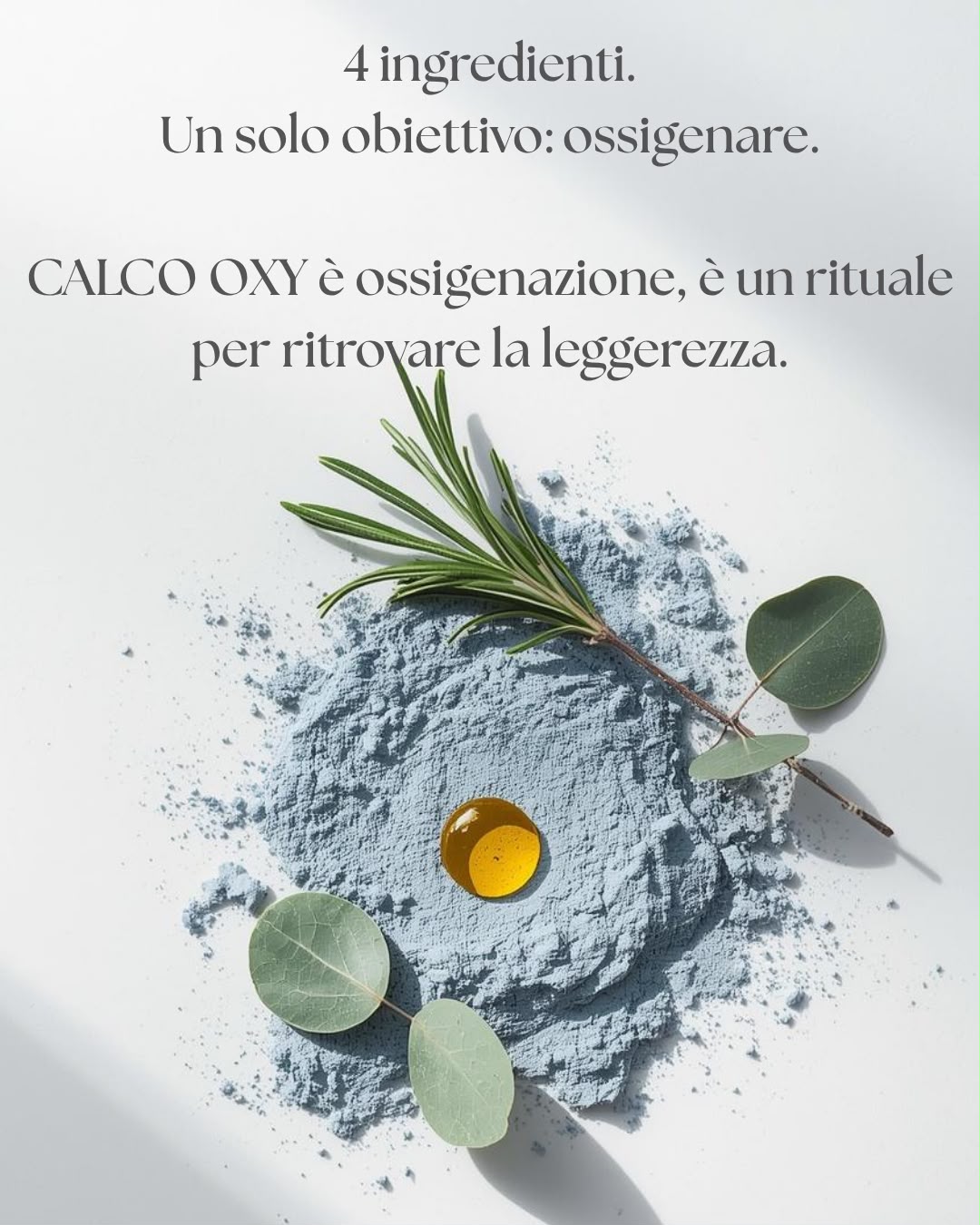 Gli ingredienti del calco